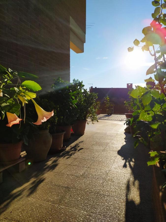 Residenza Damiano Otel Assisi Dış mekan fotoğraf